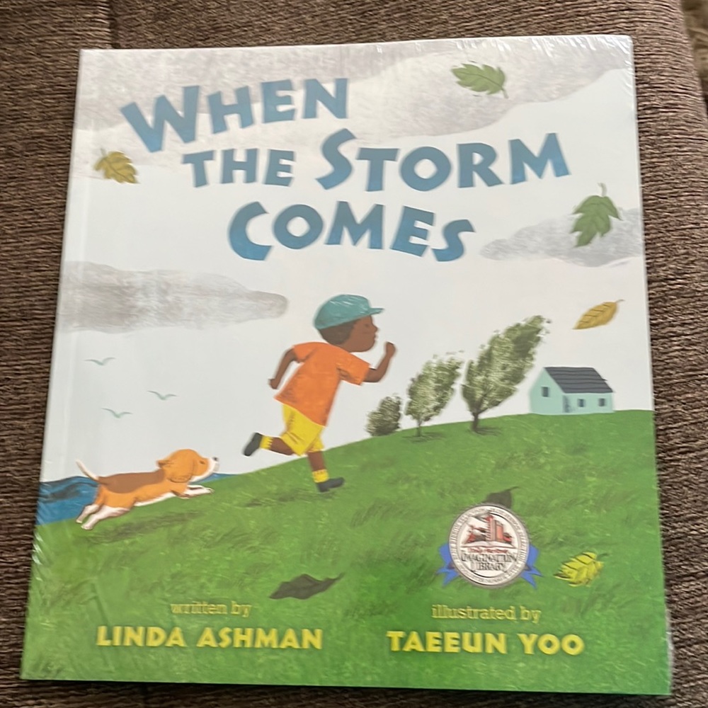 When the storm comes by,kids book